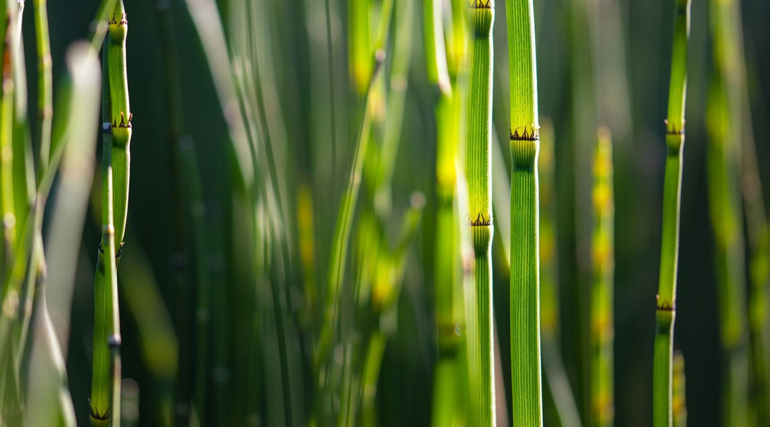 What does environmentally friendly mean? Best eco-friendly products you need to try
