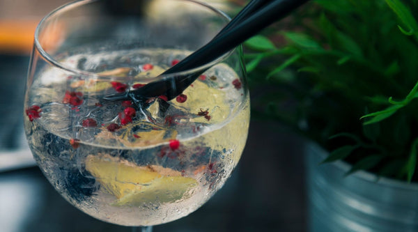 20 great Christmas gifts for gin lovers