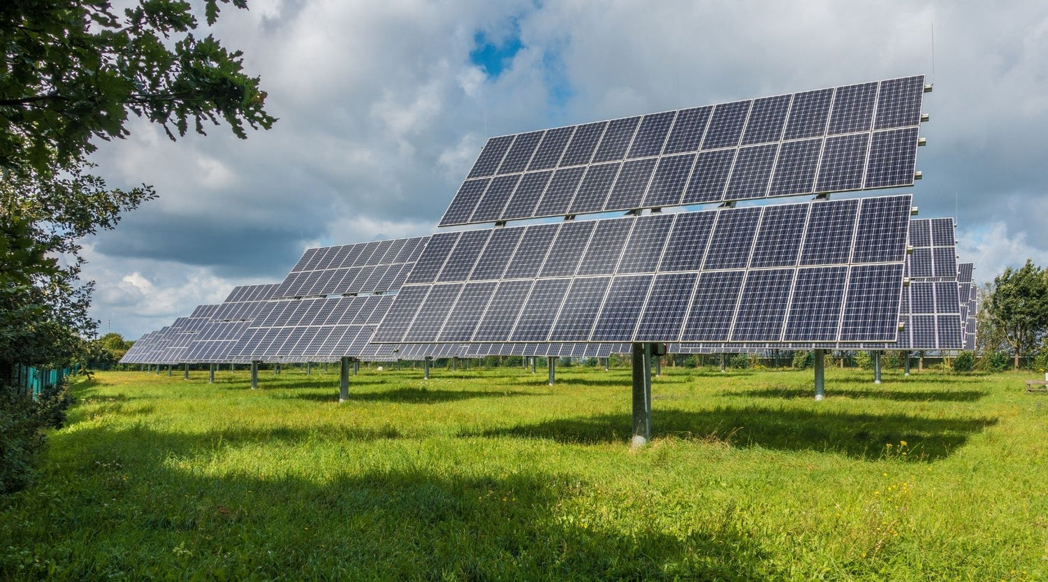 Renewable materials tips and tricks